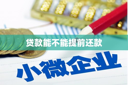 茂林贷款能不能提前还款