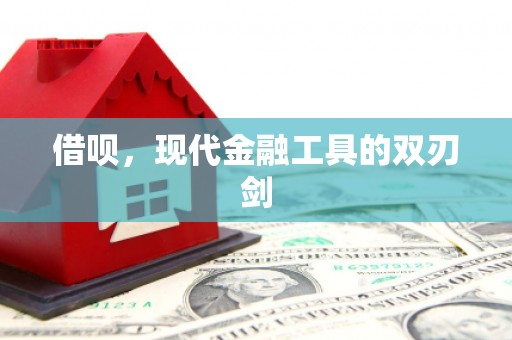 茂林借呗，现代金融工具的双刃剑