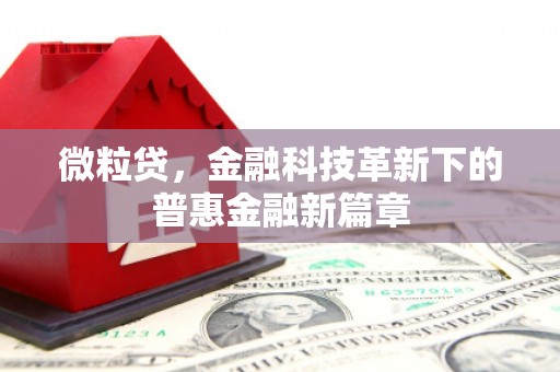 茂林微粒贷，金融科技革新下的普惠金融新篇章