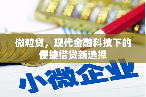 茂林微粒贷，现代金融科技下的便捷借贷新选择