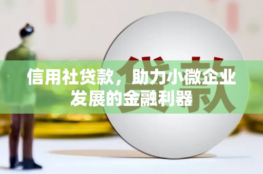 茂林信用社贷款，助力小微企业发展的金融利器