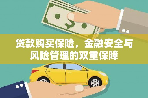 茂林贷款购买保险，金融安全与风险管理的双重保障