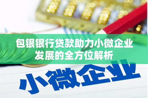 茂林包银银行贷款助力小微企业发展的全方位解析