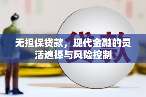 茂林无担保贷款，现代金融的灵活选择与风险控制