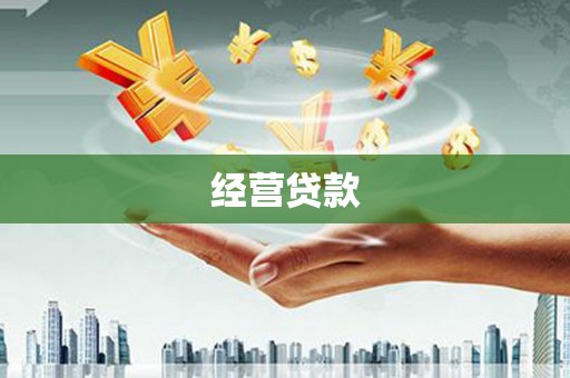 茂林经营贷款