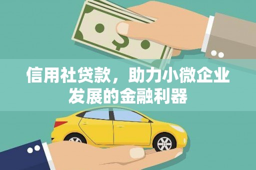 茂林信用社贷款，助力小微企业发展的金融利器