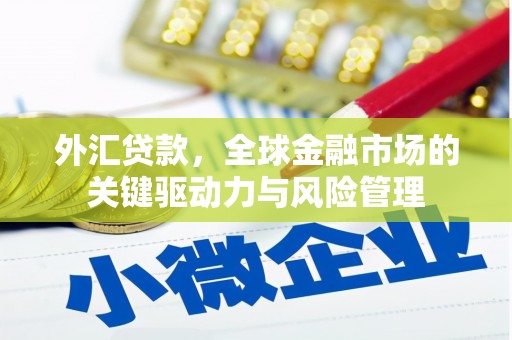 茂林外汇贷款，全球金融市场的关键驱动力与风险管理