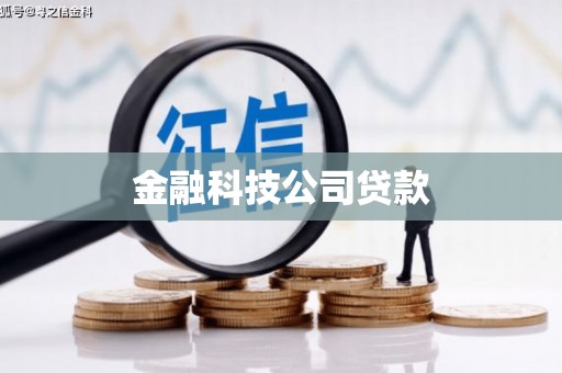 茂林金融科技公司贷款