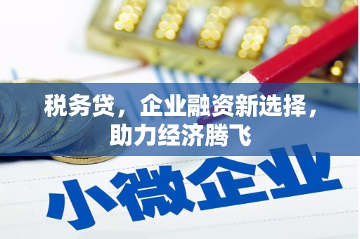 茂林税务贷，企业融资新选择，助力经济腾飞