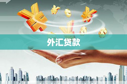 茂林外汇贷款