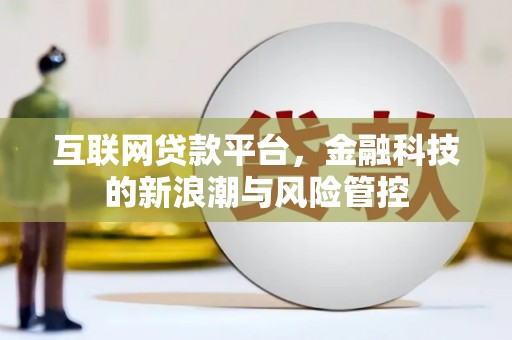 茂林互联网贷款平台，金融科技的新浪潮与风险管控
