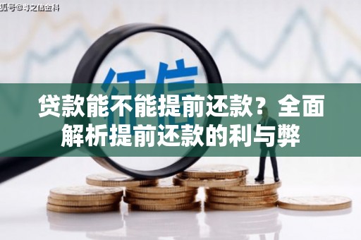 茂林贷款能不能提前还款？全面解析提前还款的利与弊