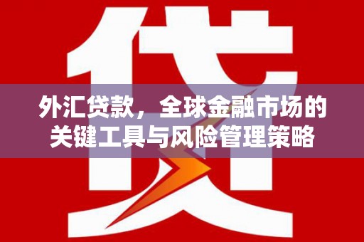 茂林外汇贷款，全球金融市场的关键工具与风险管理策略