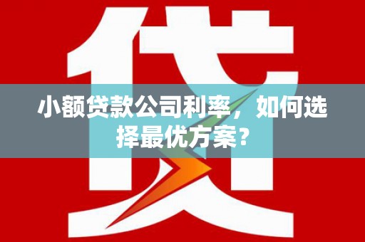 茂林小额贷款公司利率，如何选择最优方案？