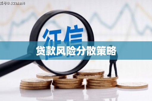 茂林贷款风险分散策略