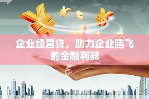 茂林企业经营贷，助力企业腾飞的金融利器