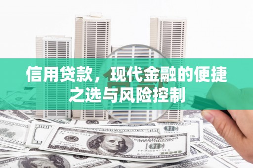 茂林信用贷款，现代金融的便捷之选与风险控制