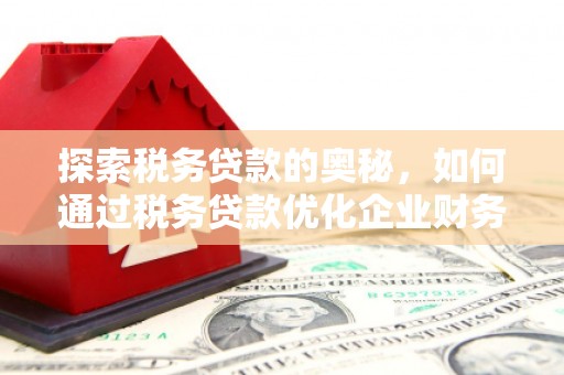 茂林探索税务贷款的奥秘，如何通过税务贷款优化企业财务