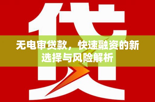 茂林无电审贷款，快速融资的新选择与风险解析