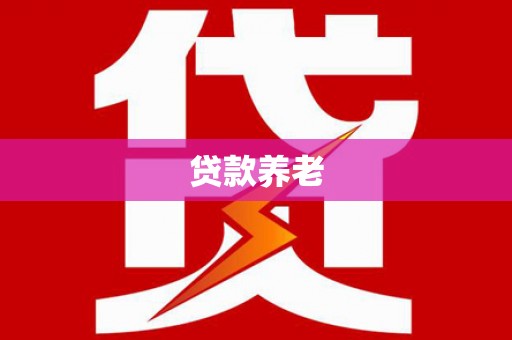 茂林贷款养老