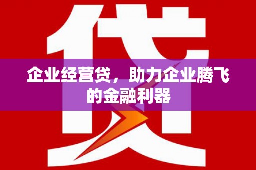 茂林企业经营贷，助力企业腾飞的金融利器