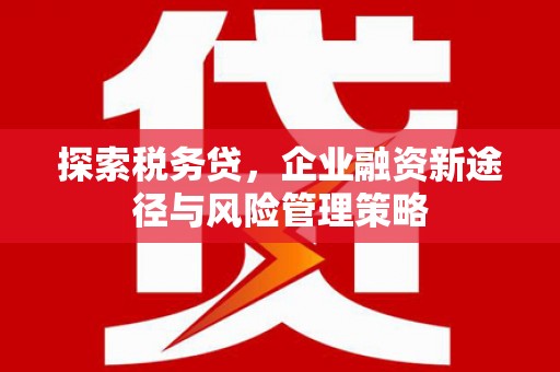 茂林探索税务贷，企业融资新途径与风险管理策略