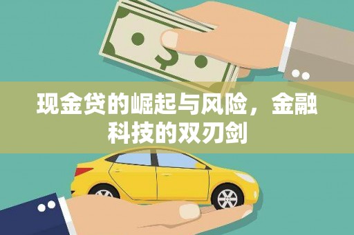茂林现金贷的崛起与风险，金融科技的双刃剑