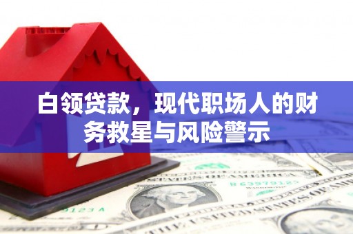 茂林白领贷款，现代职场人的财务救星与风险警示