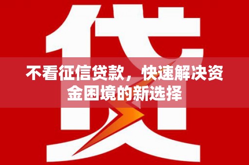 茂林不看征信贷款，快速解决资金困境的新选择