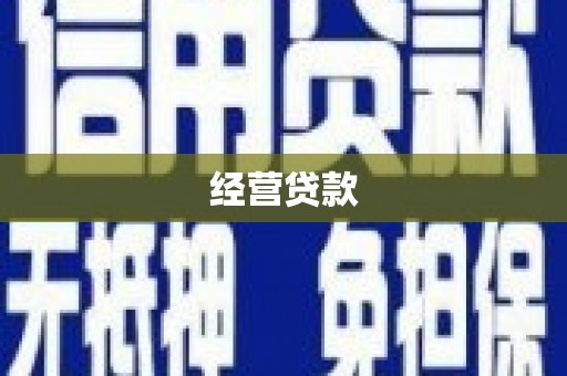 茂林经营贷款