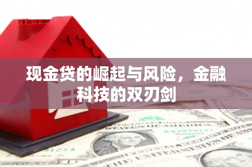茂林现金贷的崛起与风险，金融科技的双刃剑