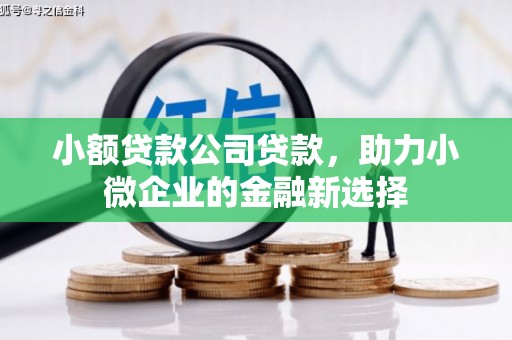 茂林小额贷款公司贷款，助力小微企业的金融新选择