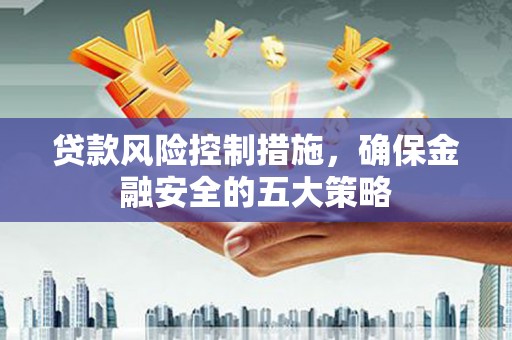 茂林贷款风险控制措施，确保金融安全的五大策略