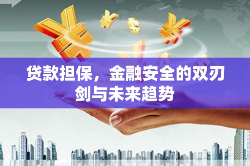 茂林贷款担保，金融安全的双刃剑与未来趋势