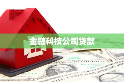 茂林金融科技公司贷款