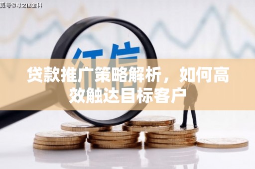 茂林贷款推广策略解析，如何高效触达目标客户