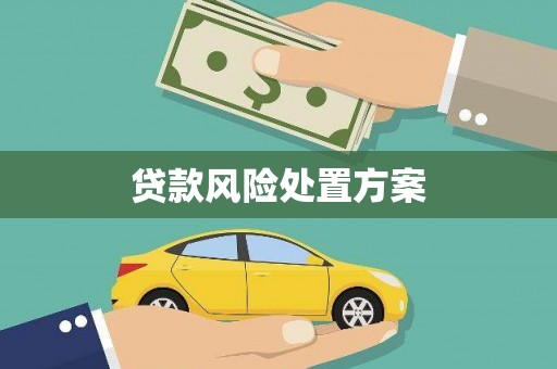 茂林贷款风险处置方案