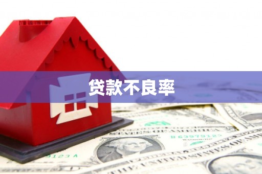 茂林贷款不良率