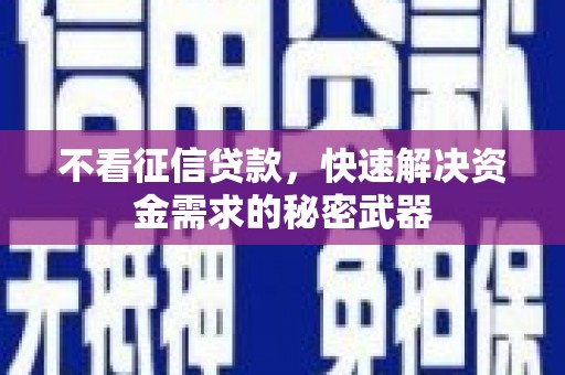 茂林不看征信贷款，快速解决资金需求的秘密武器