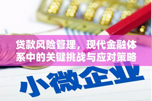 茂林贷款风险管理，现代金融体系中的关键挑战与应对策略