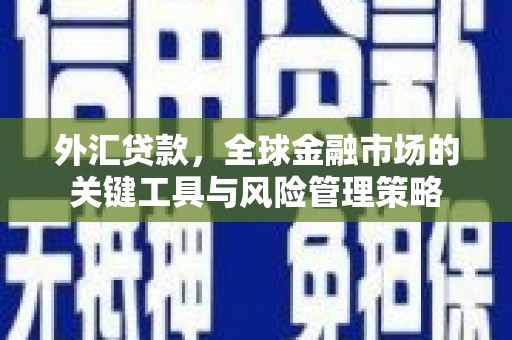 茂林外汇贷款，全球金融市场的关键工具与风险管理策略