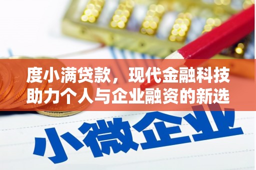 茂林度小满贷款，现代金融科技助力个人与企业融资的新选择