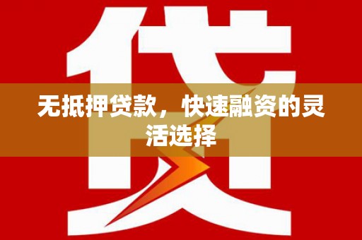 茂林无抵押贷款，快速融资的灵活选择