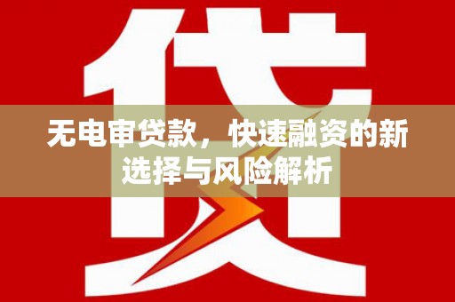 茂林无电审贷款，快速融资的新选择与风险解析