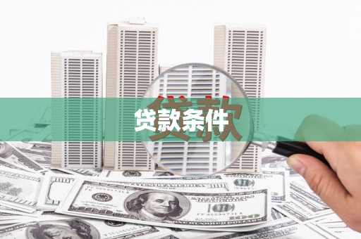 茂林贷款条件