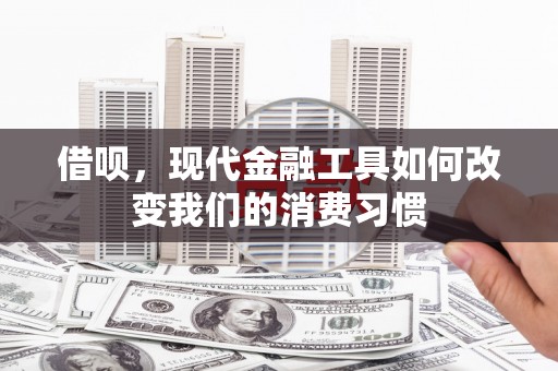 茂林借呗，现代金融工具如何改变我们的消费习惯