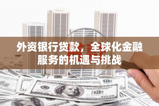 茂林外资银行贷款，全球化金融服务的机遇与挑战
