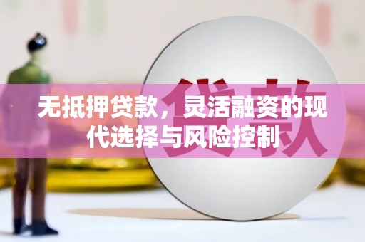 茂林无抵押贷款，灵活融资的现代选择与风险控制