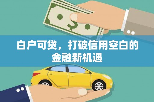 茂林白户可贷，打破信用空白的金融新机遇