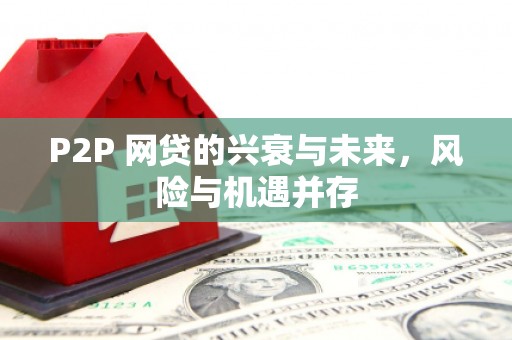 茂林P2P 网贷的兴衰与未来，风险与机遇并存